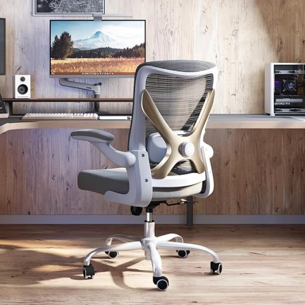 Ergonomic Office Chair